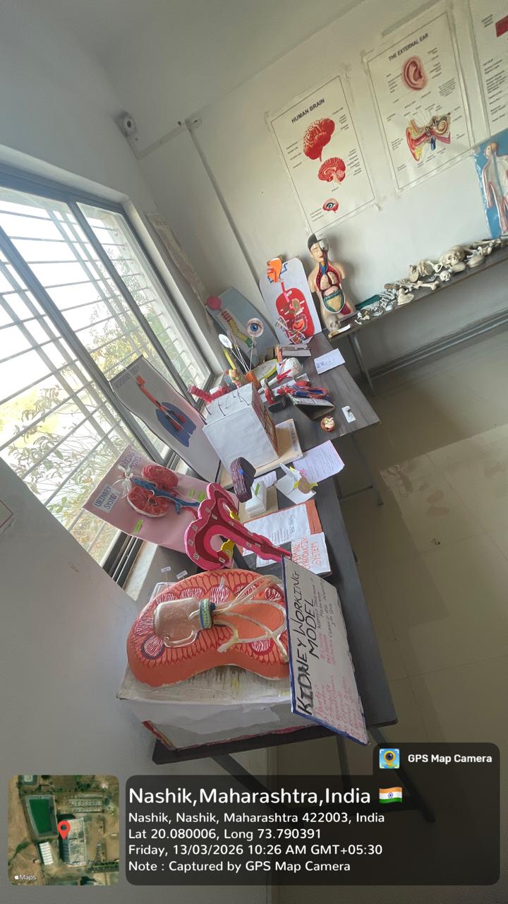 Anatomy lab with kidney working model and physiology charts