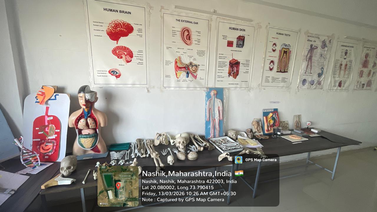 Anatomy & Physiology Lab